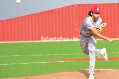 Albany-Hale Center baseball playoff (Game 1)