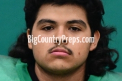 Breckenridge football 2020