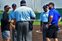 Brock-Bushland softball playoff (Game 1)