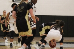 Clyde at AHS girls basketball 11-12-19