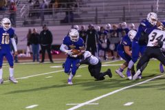 ND8_6278-1