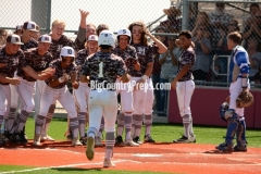 Daniel Youngblood's top 100 baseball photos for 2019