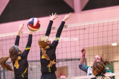 Dublin at Bangs volleyball 