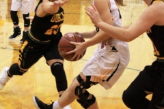 Dublin at Cisco basketball 2-5-19