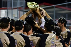 Evan Ren's Top 100 baseball photos for 2019