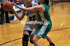 GIRLS BASKETBALL: Hamlin vs. Westbrook 2-17-2020