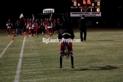 Hawley at Albany 10-23-2020