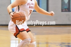 Jim Ned vs. Shallowater regional semi 2021