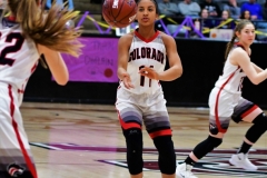 Merkel vs. C-City hoops 2-7-19