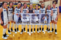 Merkel vs. Stanton 1-3-20