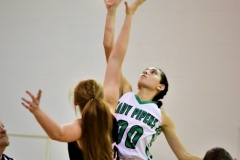 Roby at Hamlin 1-12-19