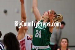 Wall at Ballinger 2-7-20